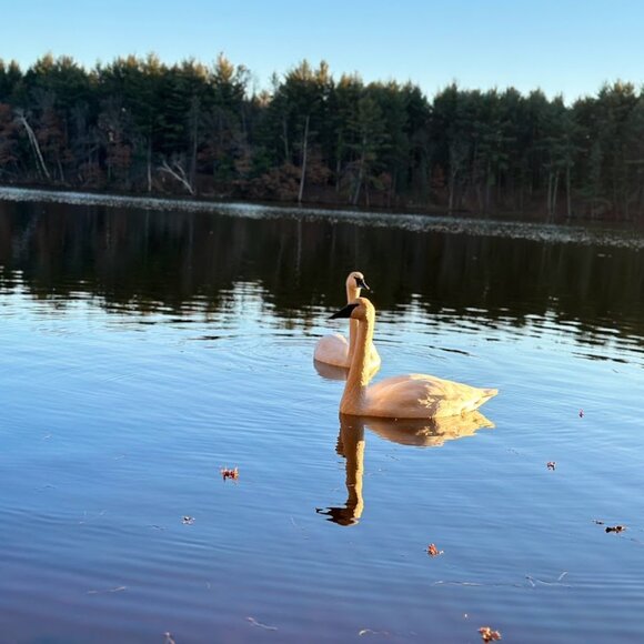 Meet your Posher, Adrianne! - Picture 16 of 16